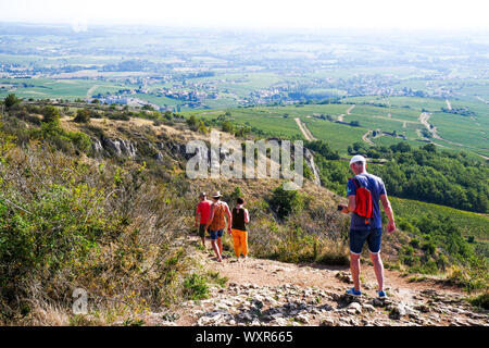 Bergwanderer stand auf der Oberseite des Solutré Felsen, Burgund, Saône-et-Loire, Bourgogne-Franche-Comté Region, Frankreich Stockfoto