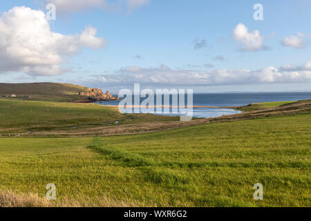 Braewick Strand & Dw Drongs, da Drongs sind eine Sammlung von spektakulären Granit Stapeln in St Magnus Bay, Festland, Shetlandinseln, Schottland, Großbritannien Stockfoto