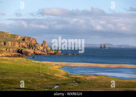 Braewick Strand & Dw Drongs, da Drongs sind eine Sammlung von spektakulären Granit Stapeln in St Magnus Bay, Festland, Shetlandinseln, Schottland, Großbritannien Stockfoto