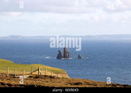 Braewick Strand & Dw Drongs, da Drongs sind eine Sammlung von spektakulären Granit Stapeln in St Magnus Bay, Festland, Shetlandinseln, Schottland, Großbritannien Stockfoto