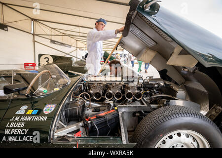 Jaguar D Type. Oldtimer aus den 30er bis in die 1950er Jahre in der Koppel während des Goodwood Revival Festival Auto, UK. Stockfoto