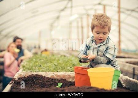 Besetzt kid Füllung, orange, grün und gelb Töpfe mit Erde. Süße blonde Junge spielt im Gewächshaus, während seine Eltern weiter entfernt stehen. Stockfoto