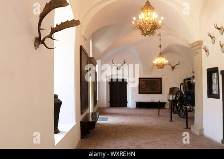 CASTA, SLOWAKEI - 31. AUGUST 2019: das Innere der mittelalterlichen Cerveny Kamen (Rot Stown) Schloss. Halle mit Dekoration tierischen Hörner an den Wänden Stockfoto