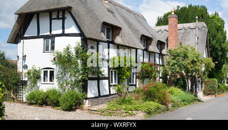 Reetgedeckte schwarz und weiß Holz gerahmt Cottage entlang Manor lane. Little Comberton, Cotswolds, Distrikt Wychavon, Worcestershire, Großbritannien Stockfoto