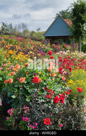 Farbenfrohe Sommer Blumenbeete im Aston Pottery. Aston, Bampton, Oxfordshire, England Stockfoto