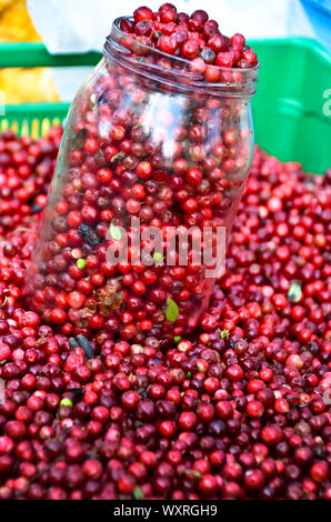 Ein Haufen von Red Cranberries zu einem Tisch, ein großes Glas mit ihnen gefüllt ist Stockfoto