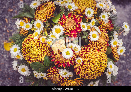 Blumenstrauß aus bunten Blumen während christliche Allerheiligen Veranstaltung im Grab auf dem Friedhof liegen Stockfoto