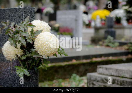 Blumenstrauß aus bunten Blumen während christliche Allerheiligen Veranstaltung liegen auf dem Grab auf dem Friedhof Stockfoto