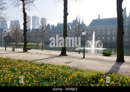 Die Lange Vijverberg und die hofvijver mit der Regierung Gebäude "Het Binnenhof' im Zentrum von Den Haag, Niederlande. Stockfoto