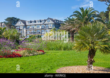 Sommer in der Queen Mary Gärten neben Gyllyngvase Beach Falmouth Cornwall England UK Europa Stockfoto