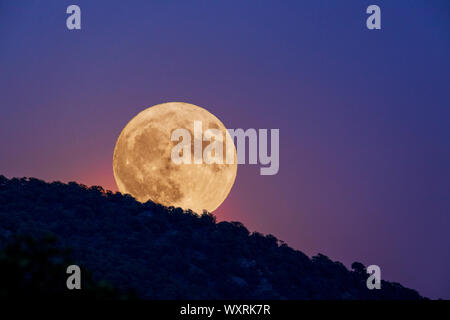 Leuchten der Ernte Vollmond über Rocky Mountains Rising; Freitag, 13.; Salida, Colorado, USA Stockfoto