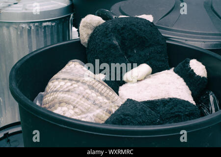 Alte Teddybär verworfen im Mülleimer. Stockfoto