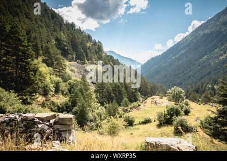 Wanderweg mit Bäumen und Vegetation in den Pyrenäen in Frankreich Stockfoto