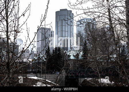 Blick auf Downtown Calgary von Eau Claire Markt Stockfoto