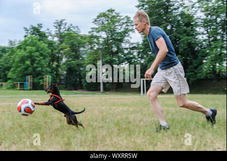 Der Mann mit dem Hund spielt mit einem Fußball. Stockfoto