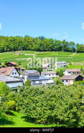 Schönen alpinen Dorf Spiez in der Schweiz mit einem grünen Weinberg auf der Piste fotografiert an einem sonnigen Sommertag. Die kleine Stadt ist von Thuner See im Berner Oberland. Schweizer Landschaften. Stockfoto