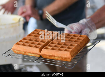 Moline, Iowa, USA. 15 Sep, 2019. Steve Slininger, von Silvis, macht Waffeln während der 7. jährlichen Belgischen Fest am Stephens Park Sonntag, 15. September 2019, in Moline. Credit: Meg Mclaughlin/Mmclaughlin@Qconl/Viererkabel - Zeiten/ZUMA Draht/Alamy leben Nachrichten Stockfoto
