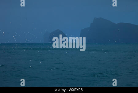 Islas Stac Lee y Boreray. Inselgruppe St. Kilda. Die äußeren Hebriden. Schottland, Großbritannien Stockfoto