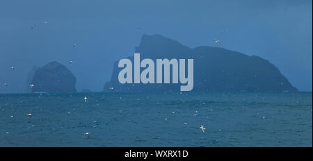 Islas Stac Lee y Boreray. Inselgruppe St. Kilda. Die äußeren Hebriden. Schottland, Großbritannien Stockfoto