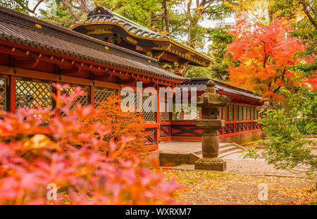 Farben des Herbstes und Laub in Nezu Schrein Gärten, eine der ältesten Shinto tempel in Tokio Stockfoto