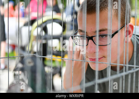 Moline, Iowa, USA. 15 Sep, 2019. Amtoine Peter, der carterville, einen genaueren Blick auf die Tauben während der der 7. jährlichen Belgischen Fest am Stephens Park Sonntag, 15. September 2019, in Moline. Credit: Meg Mclaughlin/Mmclaughlin@Qconl/Viererkabel - Zeiten/ZUMA Draht/Alamy leben Nachrichten Stockfoto
