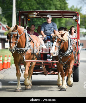 Moline, Iowa, USA. 15 Sep, 2019. Teig Smith, mit Smith Familienbetriebe, fährt eine Pferdekutsche während der 7. jährlichen Belgischen Fest am Stephens Park Sonntag, 15. September 2019, in Moline. Credit: Meg Mclaughlin/Mmclaughlin@Qconl/Viererkabel - Zeiten/ZUMA Draht/Alamy leben Nachrichten Stockfoto