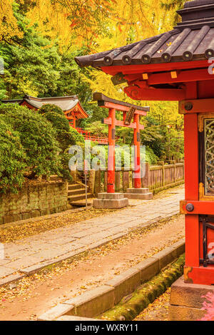 Farben des Herbstes und Laub in Nezu Schrein Gärten, eine der ältesten Shinto tempel in Tokio Stockfoto