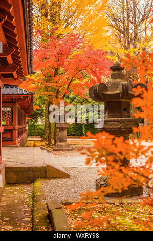 Farben des Herbstes und Laub in Nezu Schrein Gärten, eine der ältesten Shinto tempel in Tokio Stockfoto