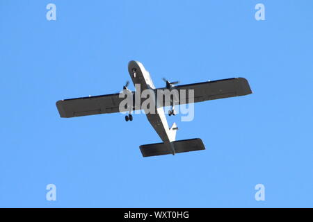 ZH004, ein britten-norman Defender T3 von der Army Air Corps betrieben, am Internationalen Flughafen Prestwick, Ayrshire. Stockfoto