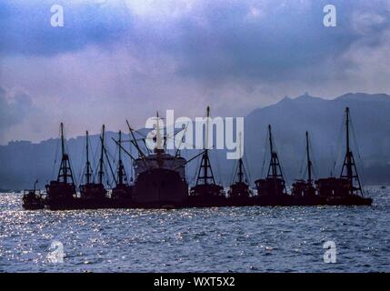 Hongkong, China. 1. Aug 1981. In Kowloon Bay in der Nähe von Hong Kong, Silhouetten von Schiffen im Morgenlicht. Credit: Arnold Drapkin/ZUMA Draht/Alamy leben Nachrichten Stockfoto