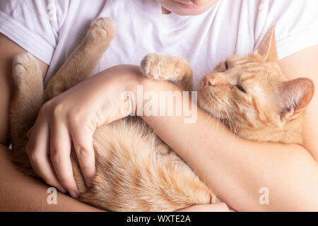 Junge holding Ingwer in Hände, Umarmen Stockfoto