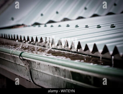 Regen auf einem Wellblechdach sammeln in einer Dachrinne Stockfoto