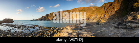 Robuste Atlantikküste bei Hartland Quay, Devon, England Stockfoto