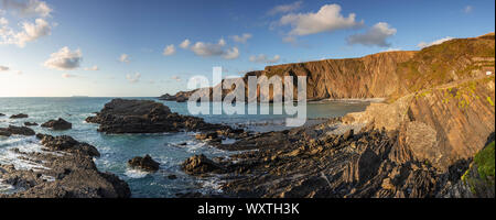 Robuste Atlantikküste bei Hartland Quay, Devon, England Stockfoto