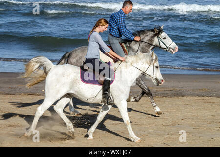 Reitpferde am Meer Paar Reitpferde am Strand, Mann und Frau Reiten Strandmenschen Spanien Costa Blanca Stockfoto