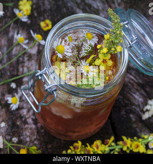 Kräuterwein, Bowle, Wein, Heilwein, Blütenwein, Sommersonnenwende, Mittsommer, Ritual, Wein. Schwarze Königskerze, Schwarze Königs-Kerze, Königskerze, Stockfoto