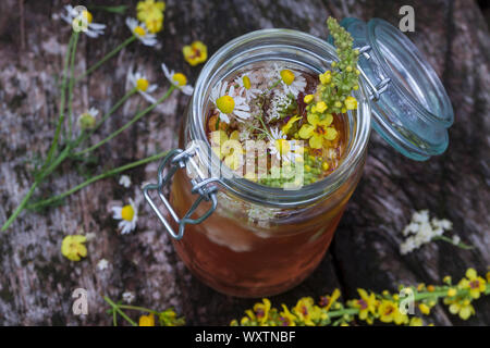 Kräuterwein, Bowle, Wein, Heilwein, Blütenwein, Sommersonnenwende, Mittsommer, Ritual, Wein. Schwarze Königskerze, Schwarze Königs-Kerze, Königskerze, Stockfoto