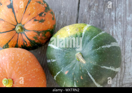 Drei Kürbisse in verschiedenen Farben auf einem grauen Hintergrund aus Holz. Herbst Ernte. Stockfoto