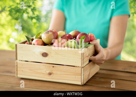 Landwirtschaft, Gartenbau und ernte Konzept - Frau mit holzbox der reife Äpfel über grüne natürlichen Hintergrund Stockfoto