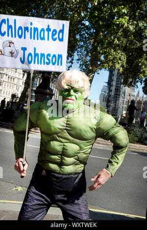 Am 17. September 2019, Demonstranten vor dem Supreme Court, Westminster während 11 Richter über die Rechtmäßigkeit von Boris Johnson's Aussetzung der Par Stockfoto