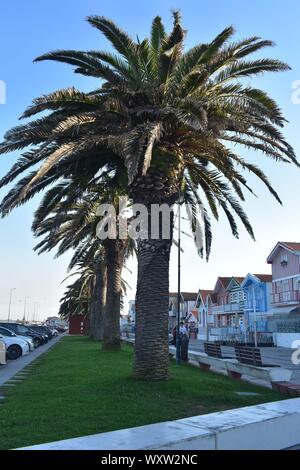 Gehen Seite an Seite mit Ria de Aveiro mit fantastischer Aussicht in Portugal Stockfoto