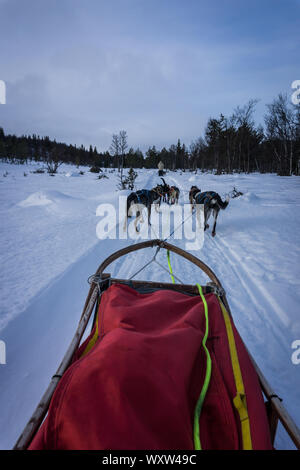 POV Bild von Hundeschlitten Fahrt in Norwegen im Winter Stockfoto