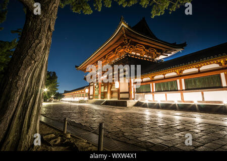 Nacht Blick auf Chūmon, das mittlere Tor der Todai-ji-Tempel in Nara, Japan Stockfoto