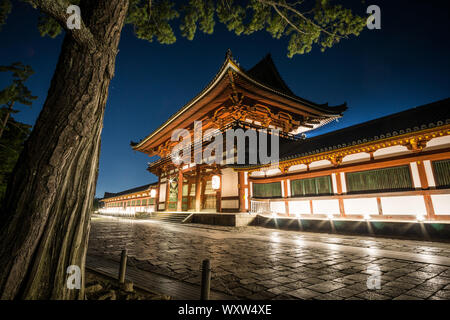 Nacht Blick auf Chūmon, das mittlere Tor der Todai-ji-Tempel in Nara, Japan Stockfoto