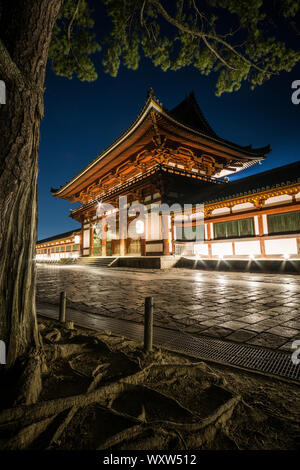 Nacht Blick auf Chūmon, das mittlere Tor der Todai-ji-Tempel in Nara, Japan Stockfoto