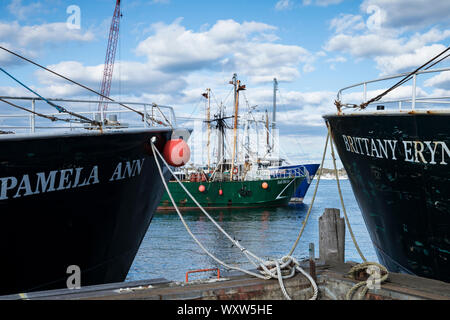 Fischerboote Flotte in Massachusetts, USA Stockfoto