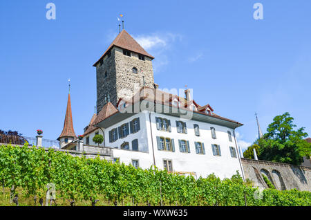 Das historische Gebäude von atemberaubenden Spiez Schloss Spiez, Schweiz. Mittelalterliche Burg, Festung, fort. Schweizer Weltkulturerbe. Schweiz Sommer Ziel. Weinberg auf den angrenzenden Hang. Kultur. Stockfoto