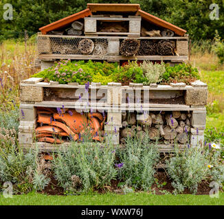 Fehler Hotel aus alten Paletten und recycelte Produkte bei Aylett Baumschulen, St Albans, Hertfordshire, England, Vereinigtes Königreich. Stockfoto