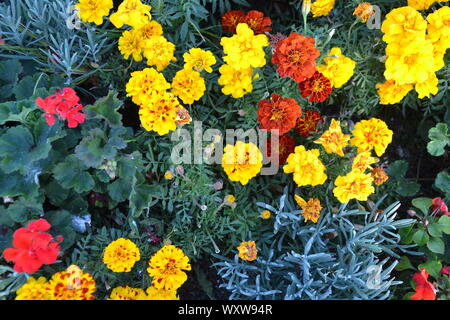 Blick von der Sovereign Harbour in Eastbourne herrlichen sonnigen Tag Stockfoto