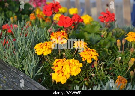 Blick von der Sovereign Harbour in Eastbourne herrlichen sonnigen Tag Stockfoto